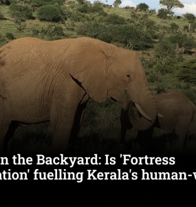 Conflict in the Backyard: Is 'Fortress Conservation' fuelling Kerala's human-wildlife crisis?