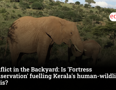 Conflict in the Backyard: Is 'Fortress Conservation' fuelling Kerala's human-wildlife crisis?