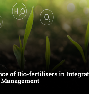 Importance of Bio-fertilisers in Integrated Nutrient Management