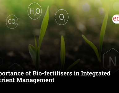 Importance of Bio-fertilisers in Integrated Nutrient Management