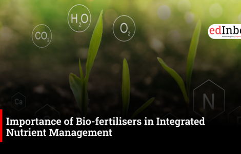 Importance of Bio-fertilisers in Integrated Nutrient Management