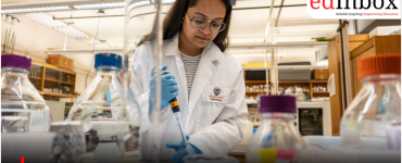 Good news for PhD aspirants: These 5 countries offer stipends worth lakhs of rupees