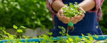 Why Pursue B.Sc Agriculture Through AIACAT Entrance Test?