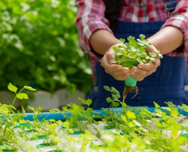 Why Pursue B.Sc Agriculture Through AIACAT Entrance Test?
