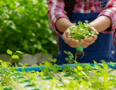 Why Pursue B.Sc Agriculture Through AIACAT Entrance Test?
