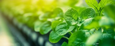 How to Prepare for an Agriculture Entrance Exam After Class 12